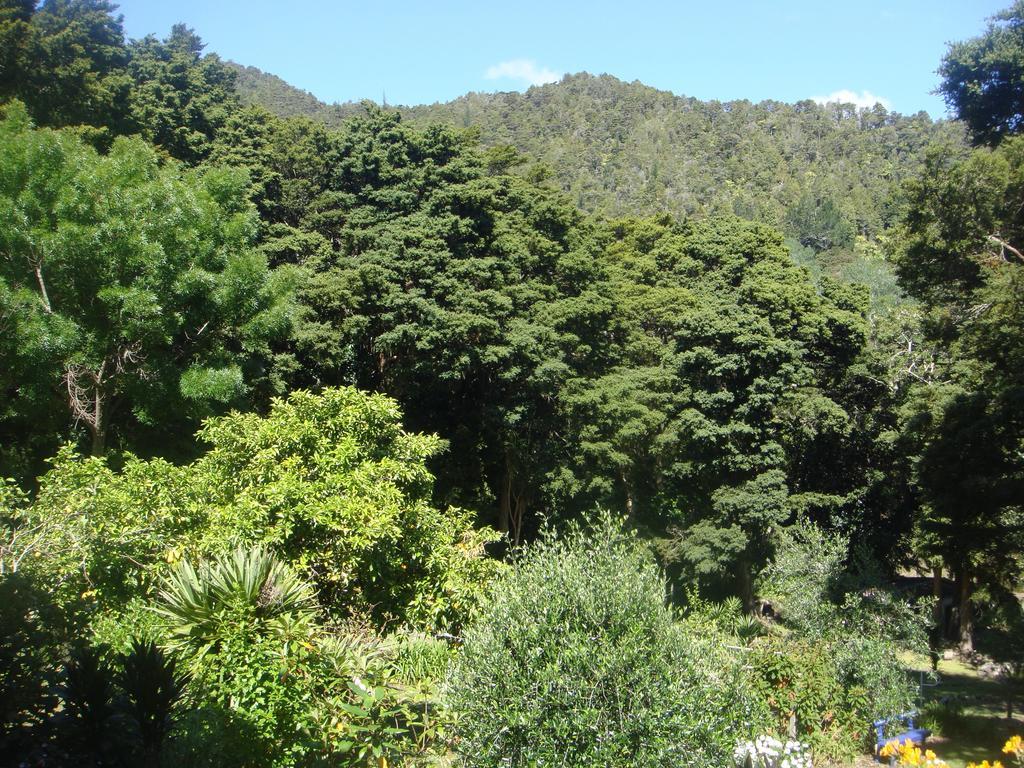 By The Park B & B Whangarei Cameră foto